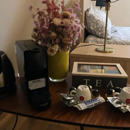 Bed and breakfast A'dam Rooftop Lux *